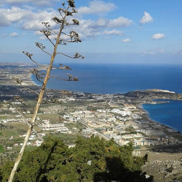 Stergios * Kolymbia
